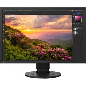 Eizo Monitor de 24"...