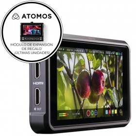 Atomos Gravador/Monitor...