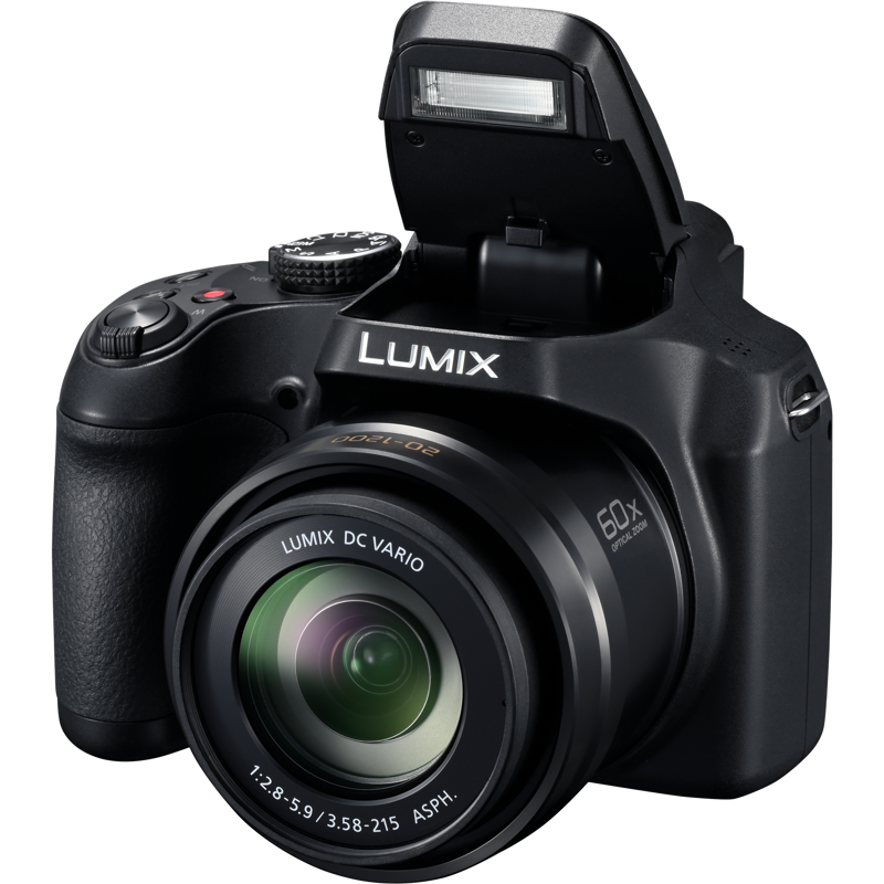 Panasonic LUMIX DC-FZ82D - Cámara Compacta Avanzada con Zoom de 60x y ...